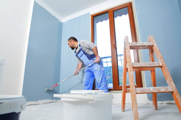 Best Real Estate Mold Inspection  in Gentry, AR