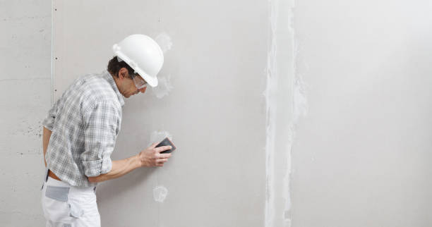 Best Mold Odor Removal Services  in Gentry, AR