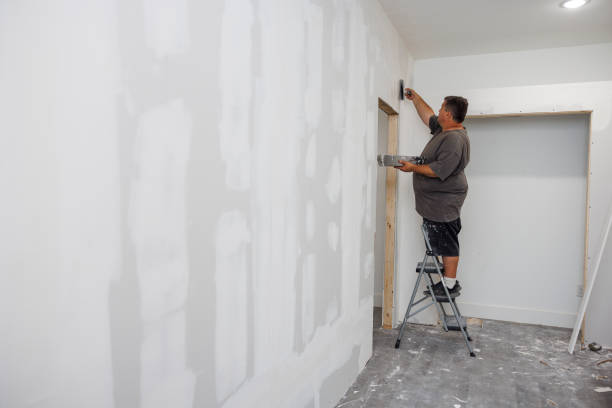 Best Water Damage & Mold Remediation  in Gentry, AR