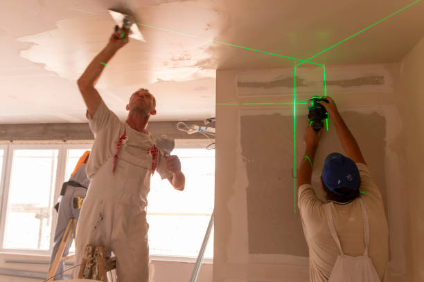 Best Biohazard Mold Removal  in Gentry, AR