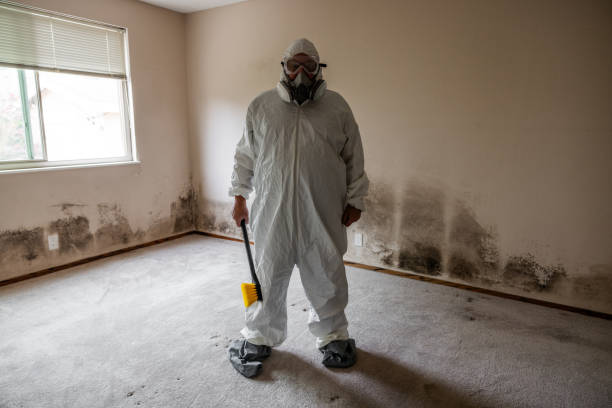 Best Crawl Space Mold Remediation  in Gentry, AR